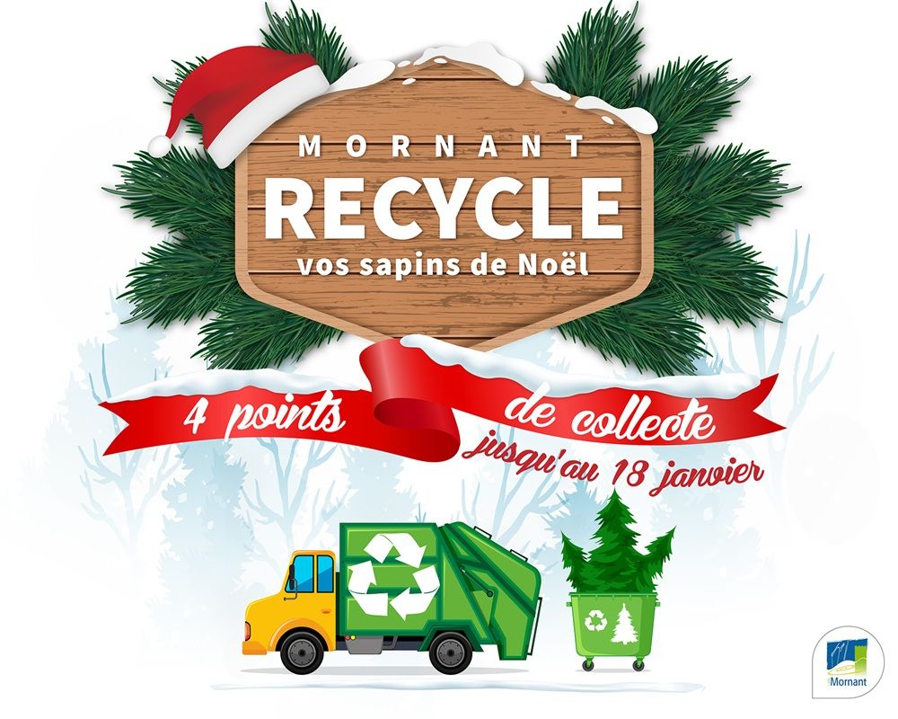 Recyclez votre sapin